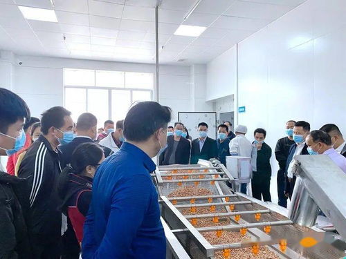 高州食品集團又一力作 果鄉花生油廠 正式投產,滴滴純正